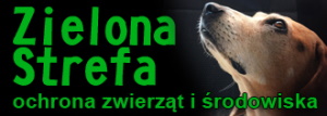 Zielona strefa krzywdzone zwierzęta