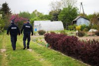 policjanci patrolują ogródki działkowe