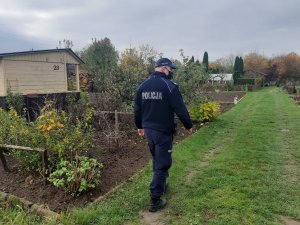 policjant idzie wśród ogródków działkowych