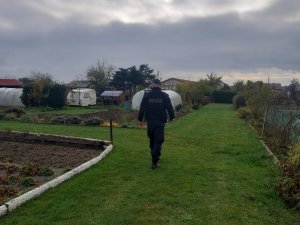 policjant idzie ścieżką w ogródkach działkowych