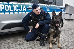 policyjne pies z przewodnikiem obok radiowozu